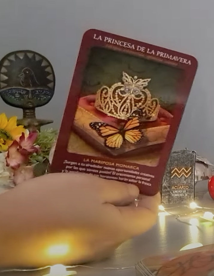 Tarot de los animales